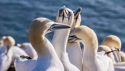 百家乐平台-复出就造点！唯有他是上港真核 登场后球队回魂